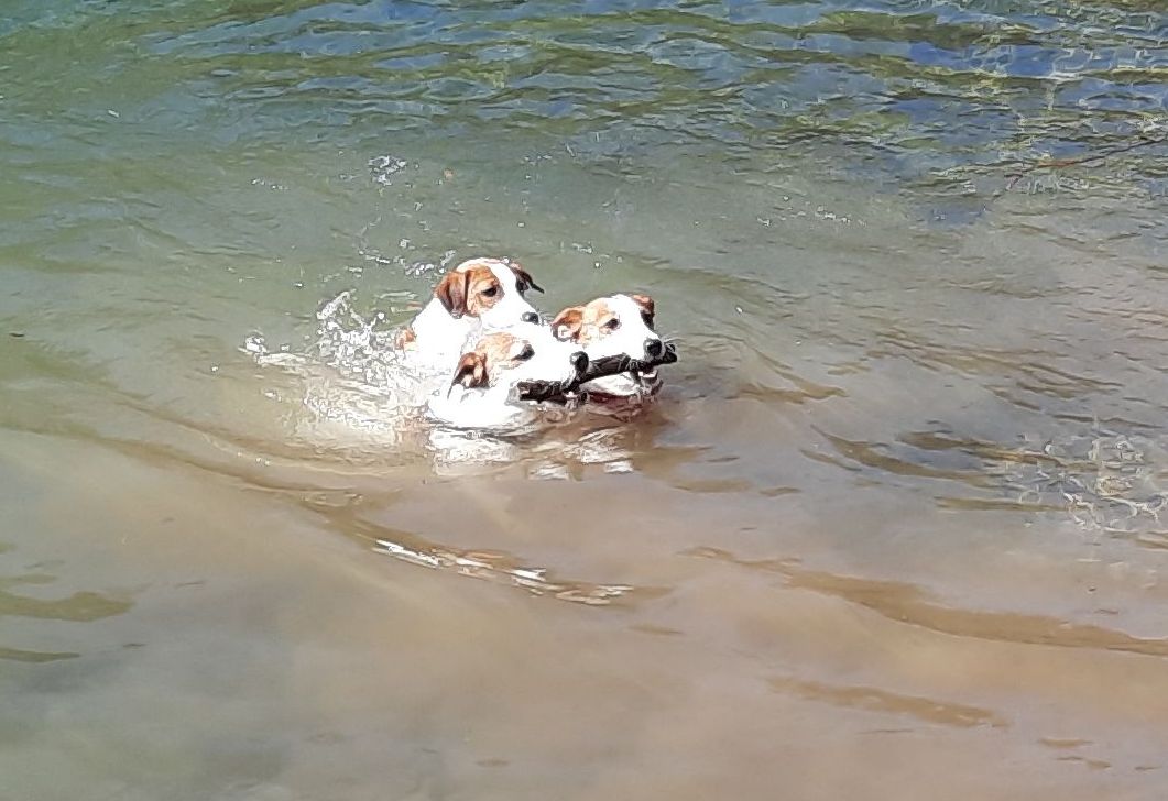 Schwimmsaison eröffnet