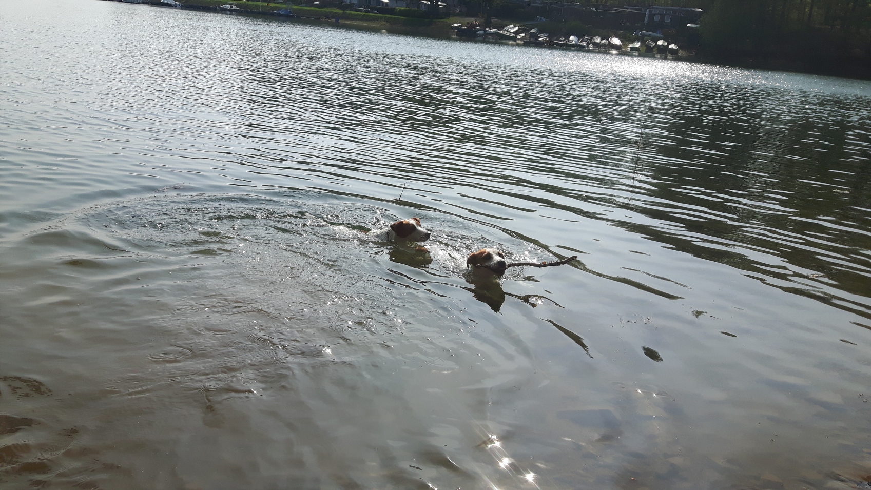 Ohne Stock schwimmen geht nicht