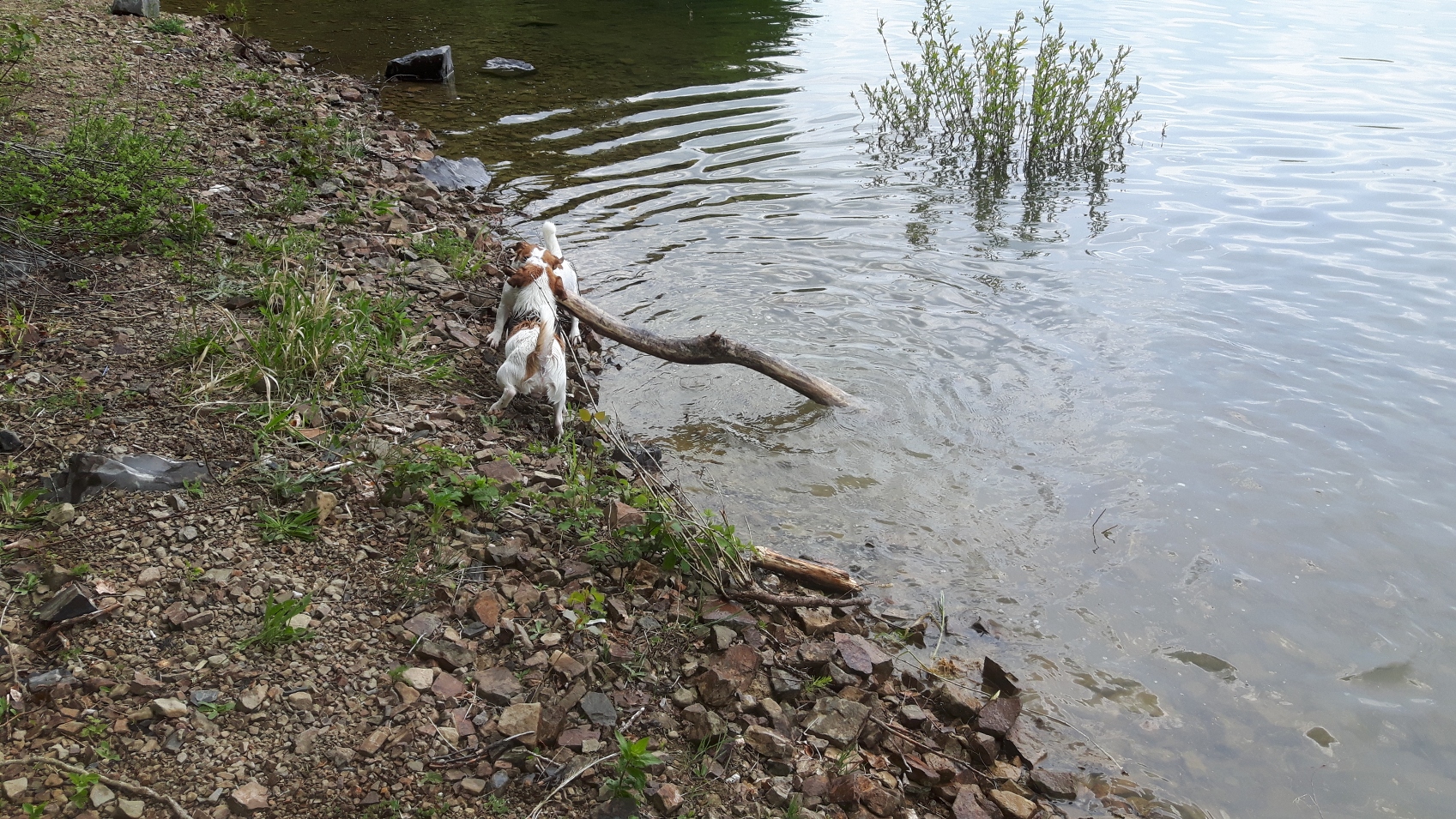 Im Wasser war der Stock nicht so schwer