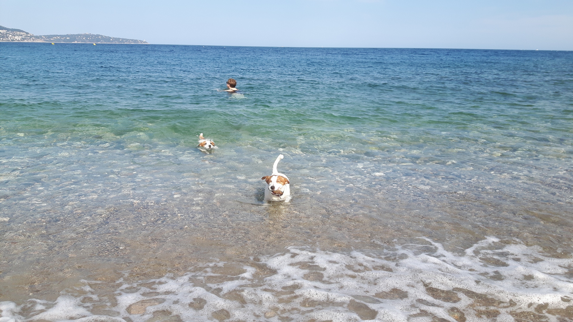 Mittelmeer tauglich (Strand von Nizza)